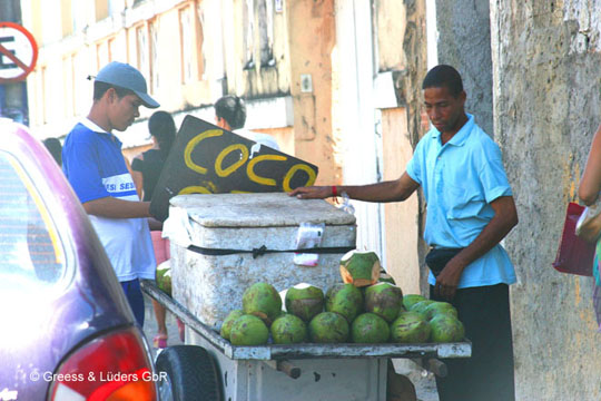 20_Coco_Maceio_B