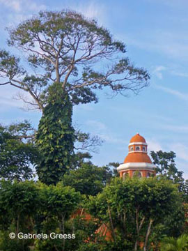 111_Guatemala_2067_b