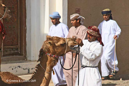 18_781_Oman_B
